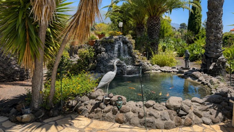 Parkachtige tropische tuin